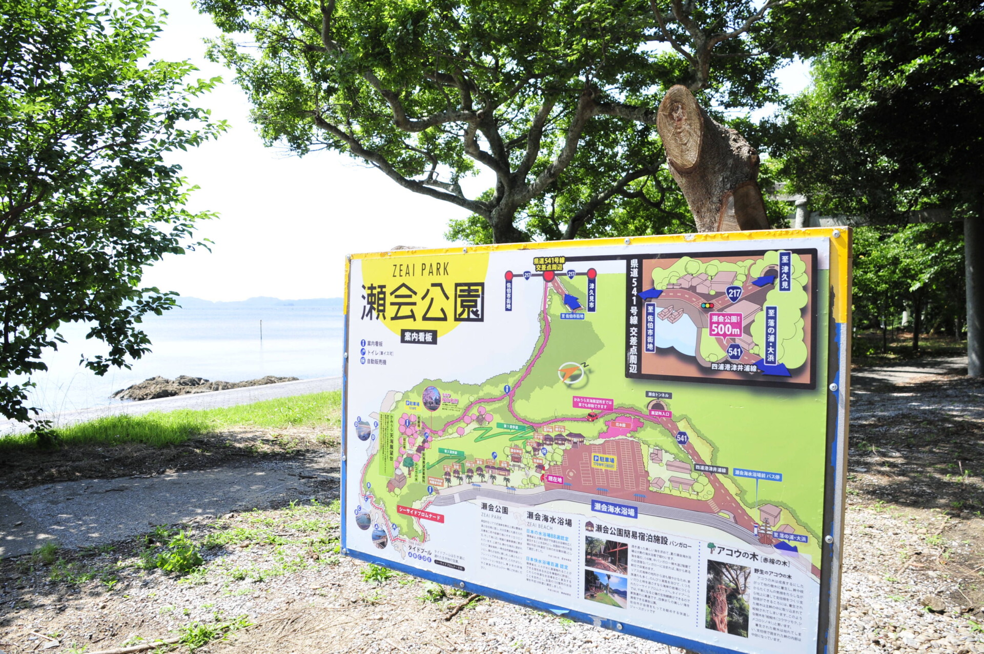 地元の高校生達の笑顔をきっかけにUターン。綺麗な海岸にキャンプ場を開業。