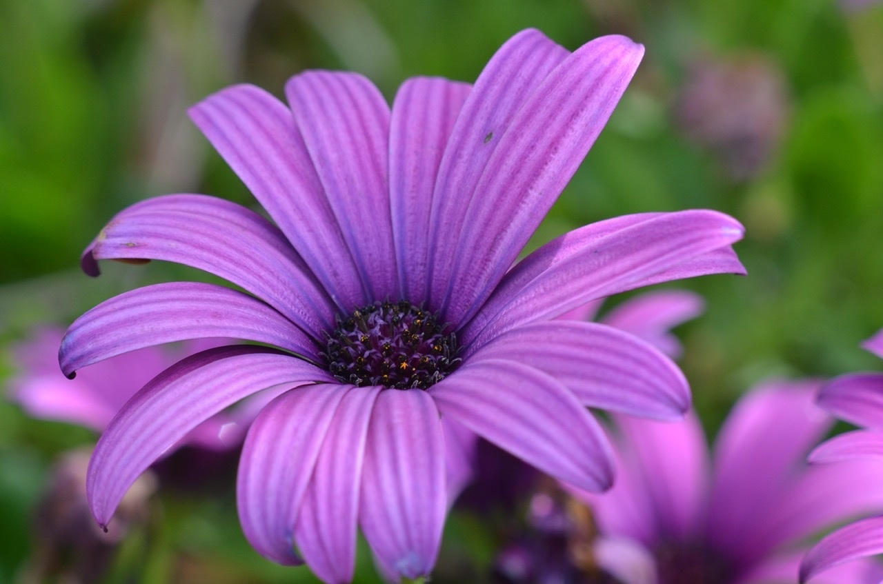 気分転換で訪れた離島。そこにあったのは過ごしやすい環境と温かい人との暮らし。