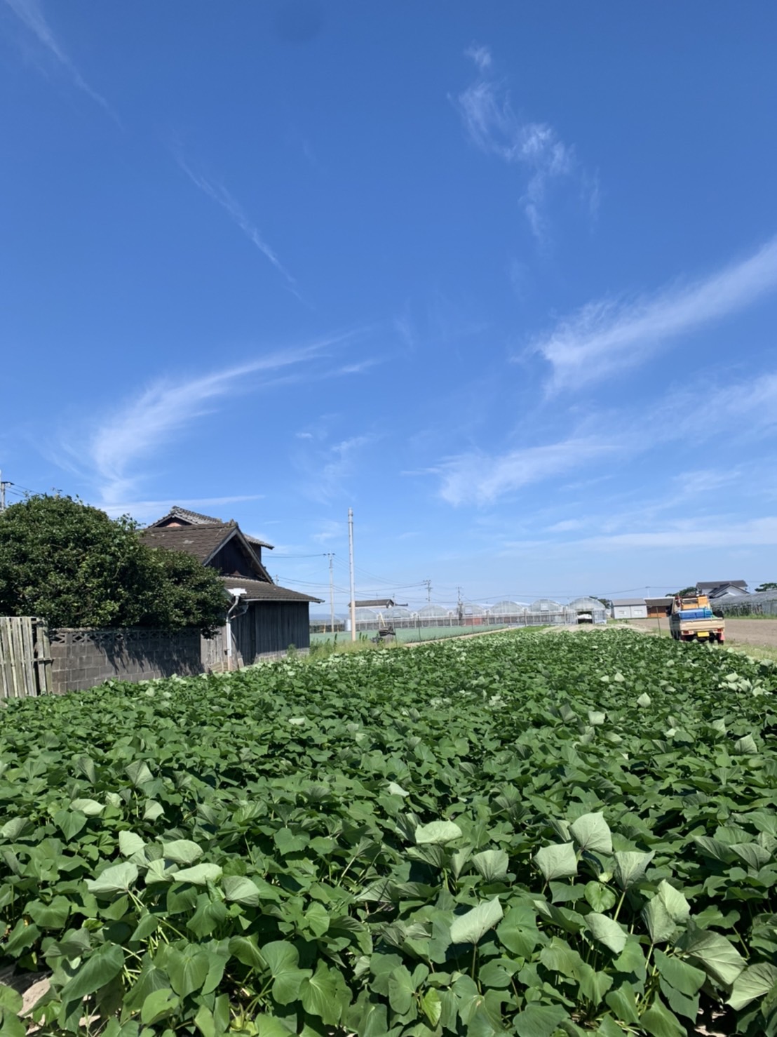 想定外のピンチを新たなチャンスに。家族や人の縁に支えられ、不屈の精神と持ち前の行動力で切り拓いた理想の暮らし。