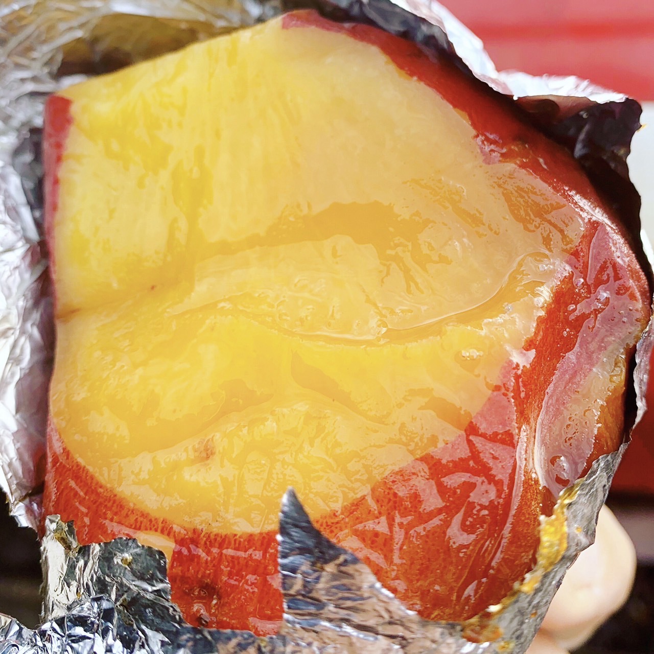 想定外のピンチを新たなチャンスに。家族や人の縁に支えられ、不屈の精神と持ち前の行動力で切り拓いた理想の暮らし。