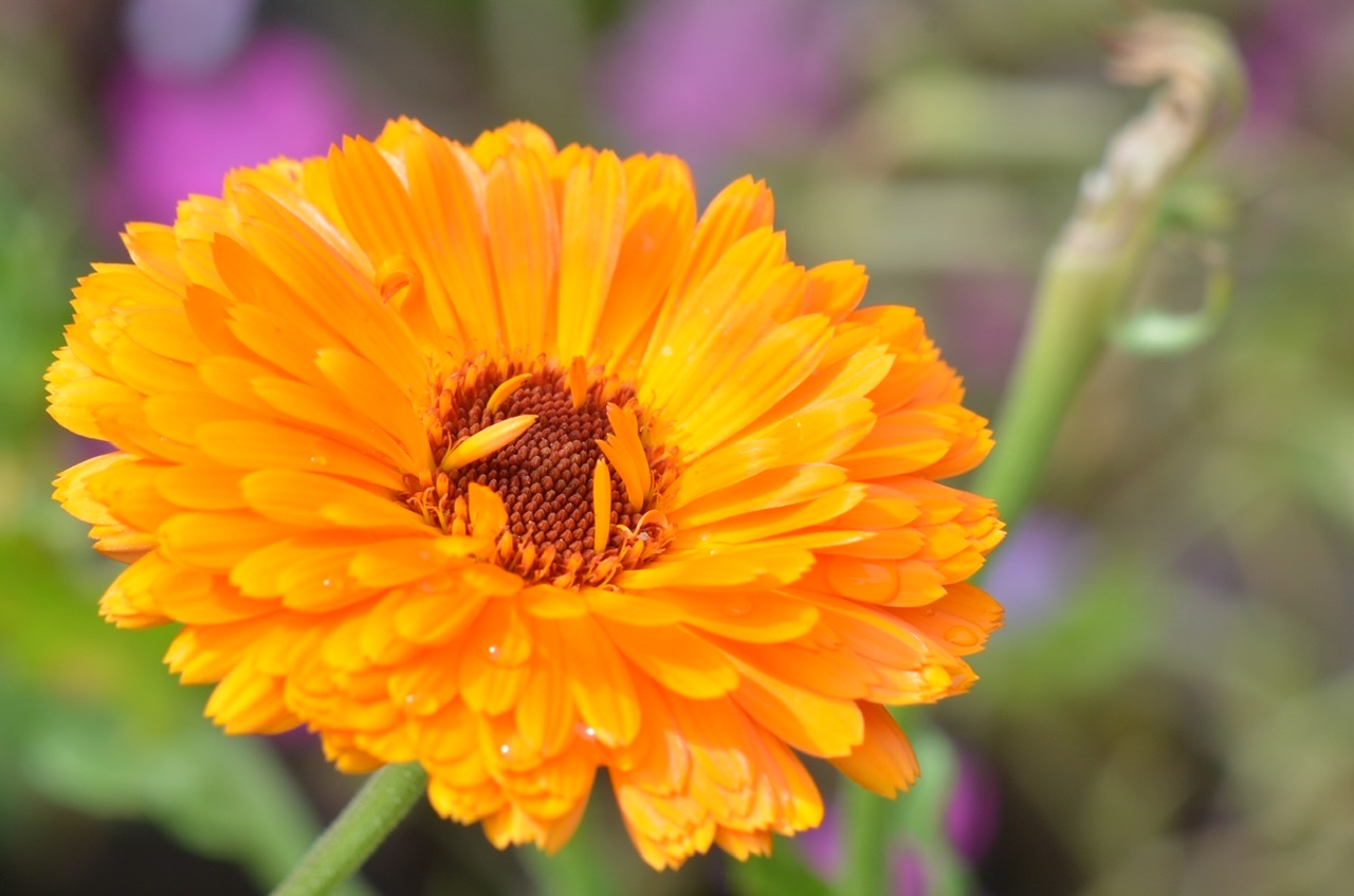 気分転換で訪れた離島。そこにあったのは過ごしやすい環境と温かい人との暮らし。