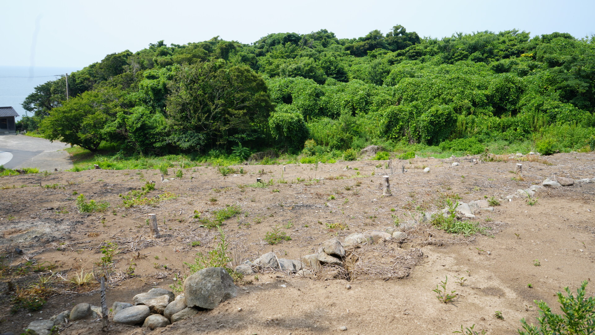 想定外のピンチを新たなチャンスに。家族や人の縁に支えられ、不屈の精神と持ち前の行動力で切り拓いた理想の暮らし。