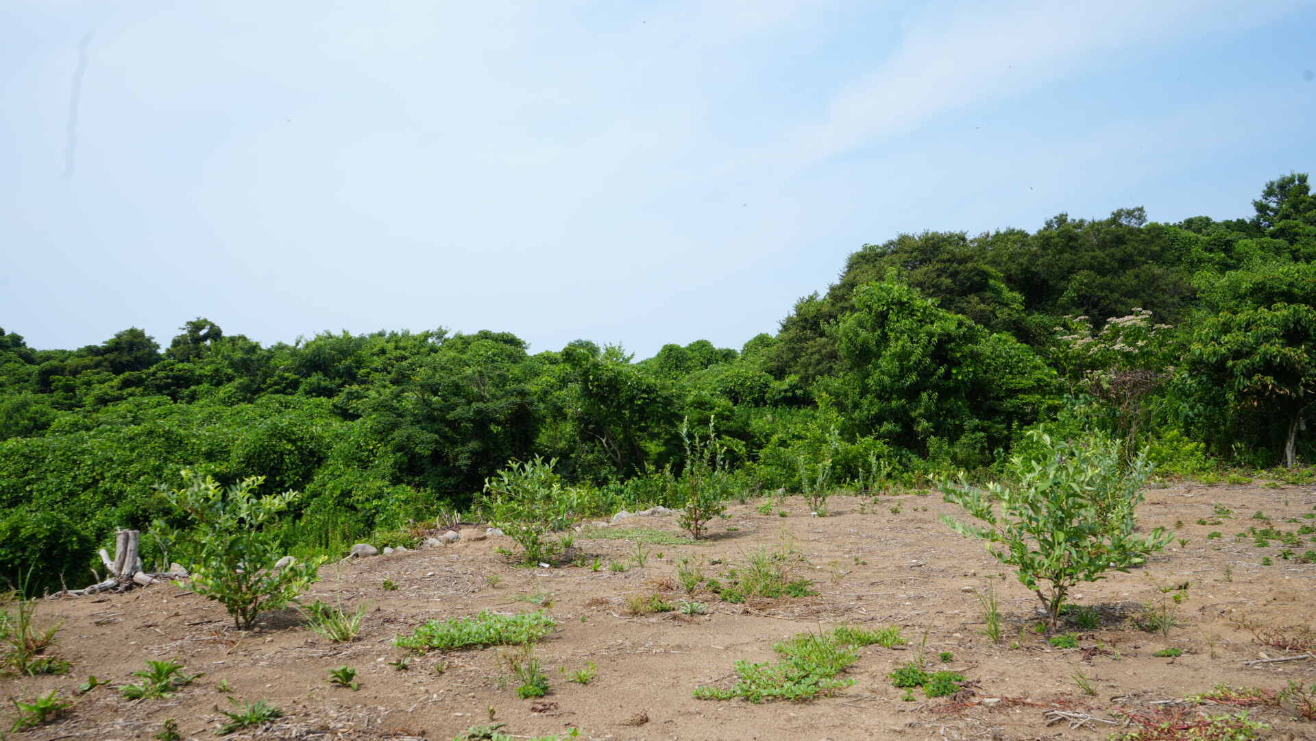 想定外のピンチを新たなチャンスに。家族や人の縁に支えられ、不屈の精神と持ち前の行動力で切り拓いた理想の暮らし。