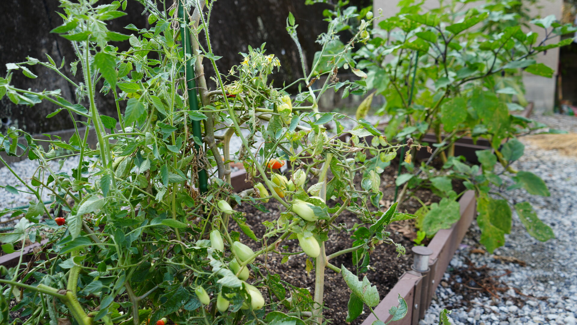 ワクワクする環境で子ども達に伸び伸び育って欲しいという願いから、たどり着いた大分市での暮らし。