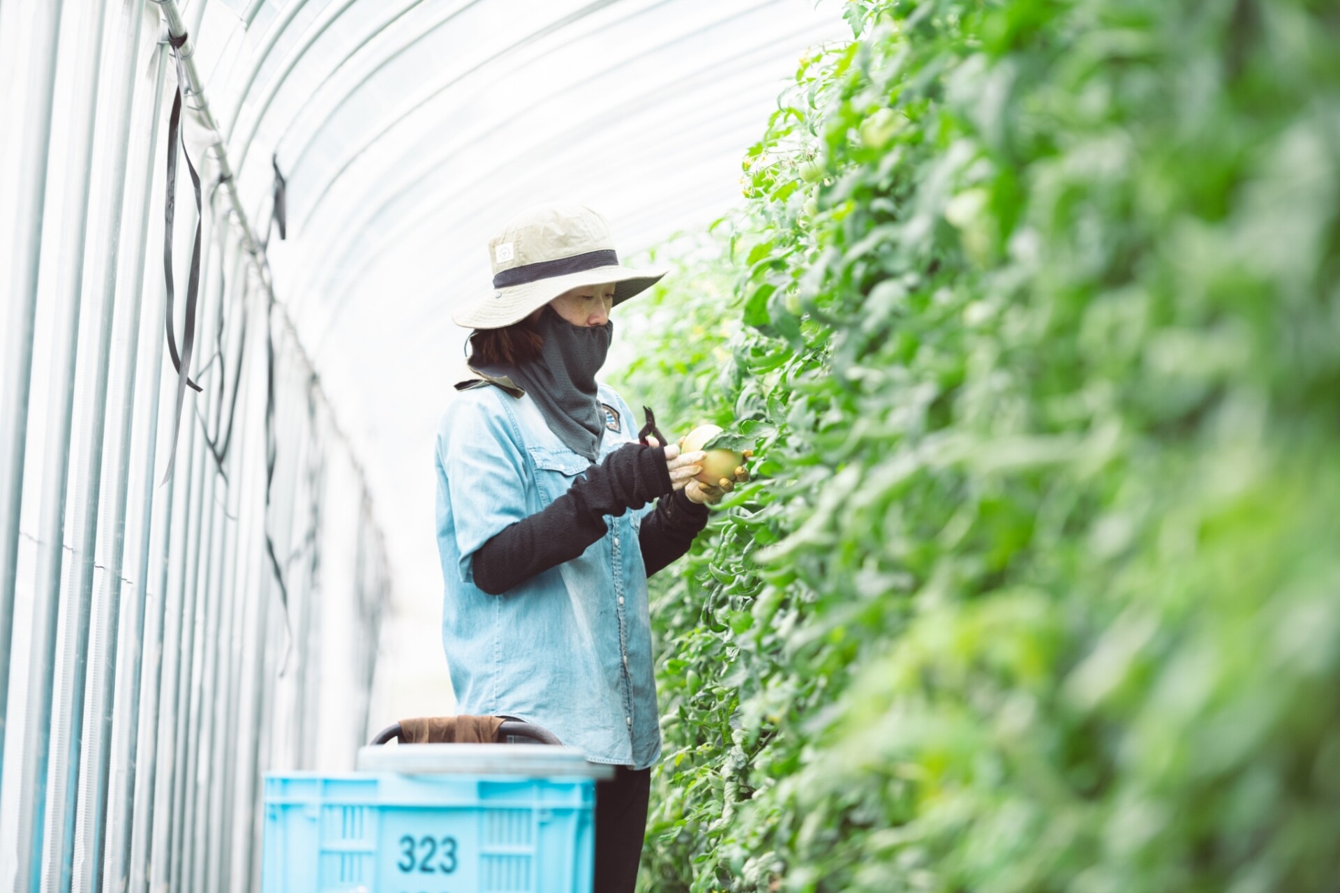 努力が報われる仕事を求めて農業の道へ。夫婦二人三脚で育む自然豊かな九重町での暮らし。