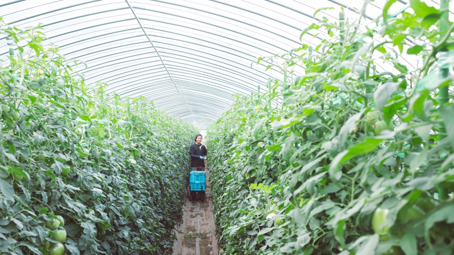 努力が報われる仕事を求めて農業の道へ。夫婦二人三脚で育む自然豊かな九重町での暮らし。