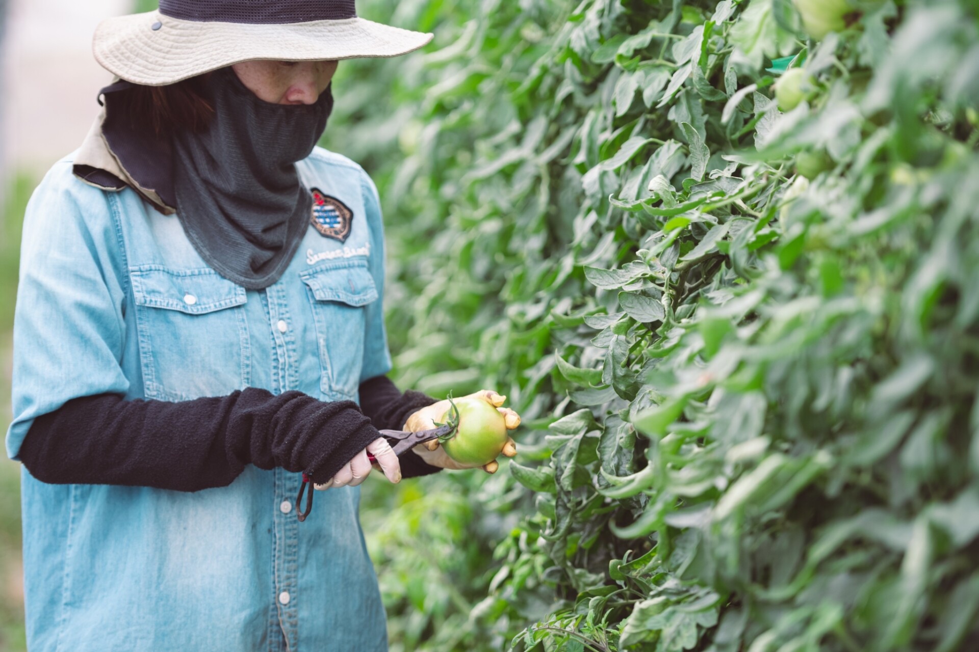努力が報われる仕事を求めて農業の道へ。夫婦二人三脚で育む自然豊かな九重町での暮らし。