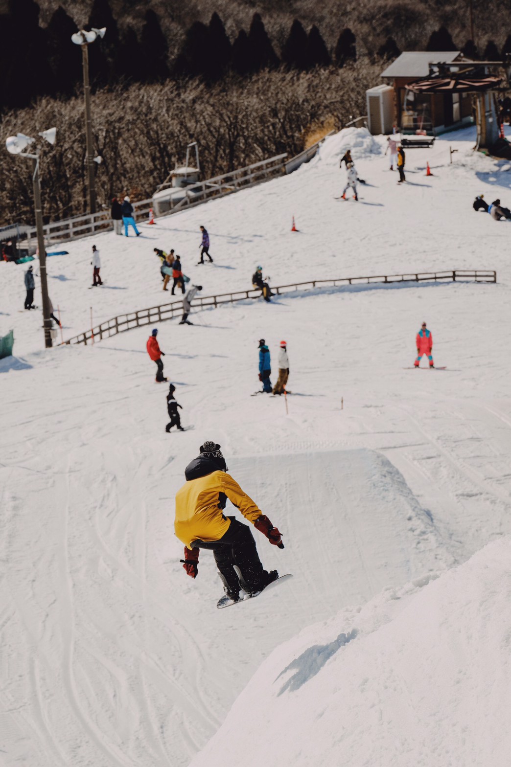 努力が報われる仕事を求めて農業の道へ。夫婦二人三脚で育む自然豊かな九重町での暮らし。