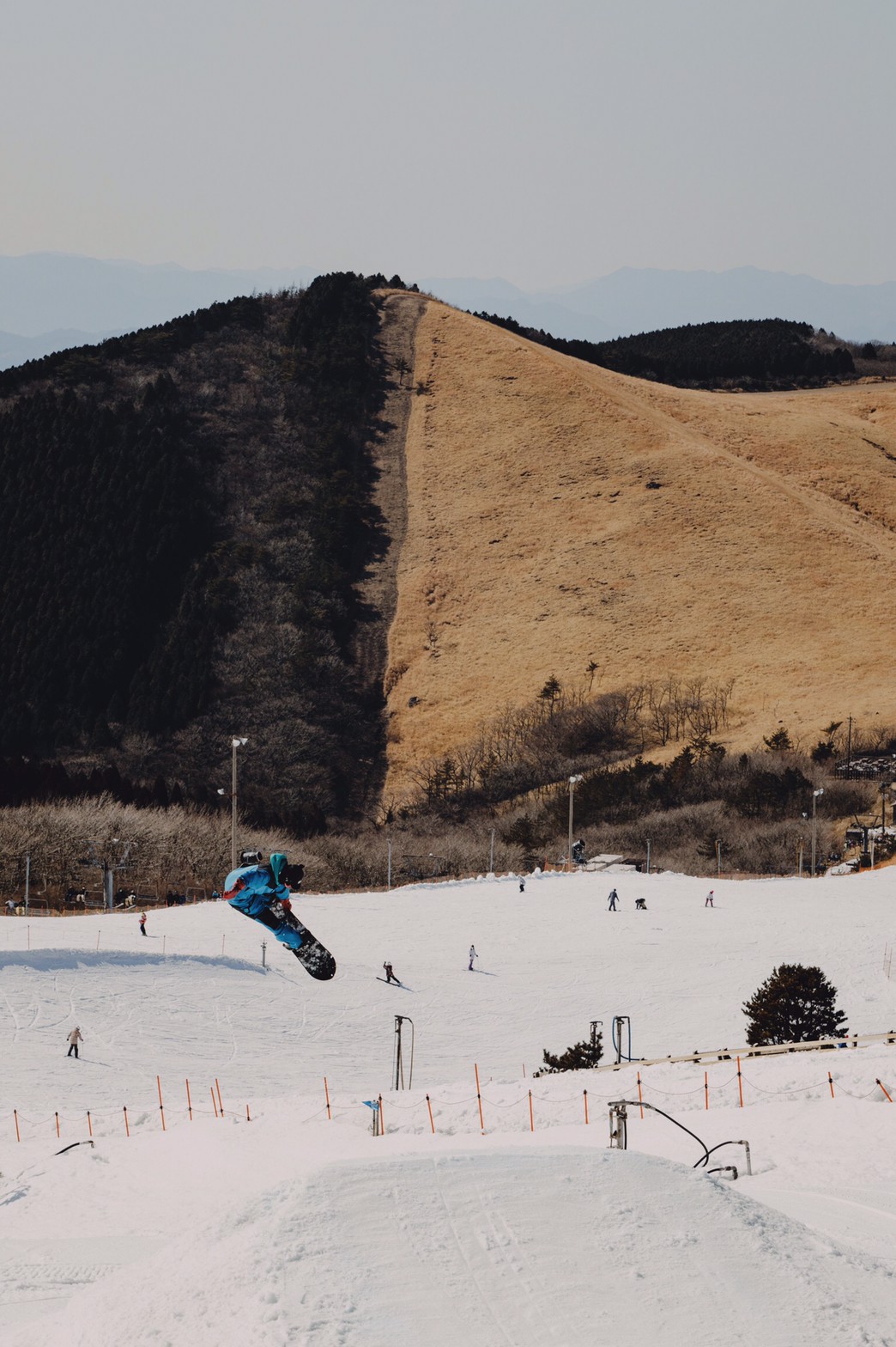 努力が報われる仕事を求めて農業の道へ。夫婦二人三脚で育む自然豊かな九重町での暮らし。
