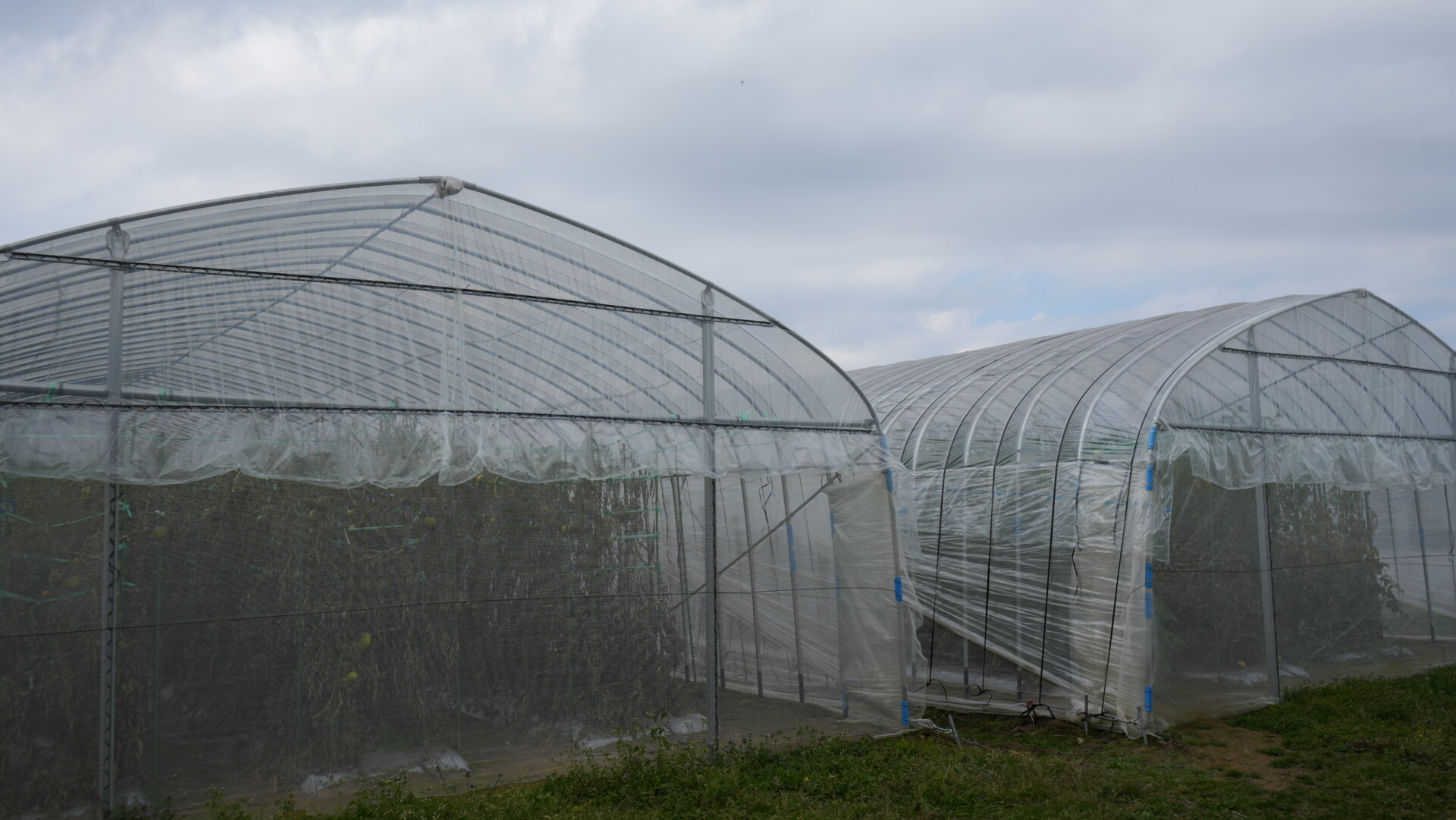 努力が報われる仕事を求めて農業の道へ。夫婦二人三脚で育む自然豊かな九重町での暮らし。