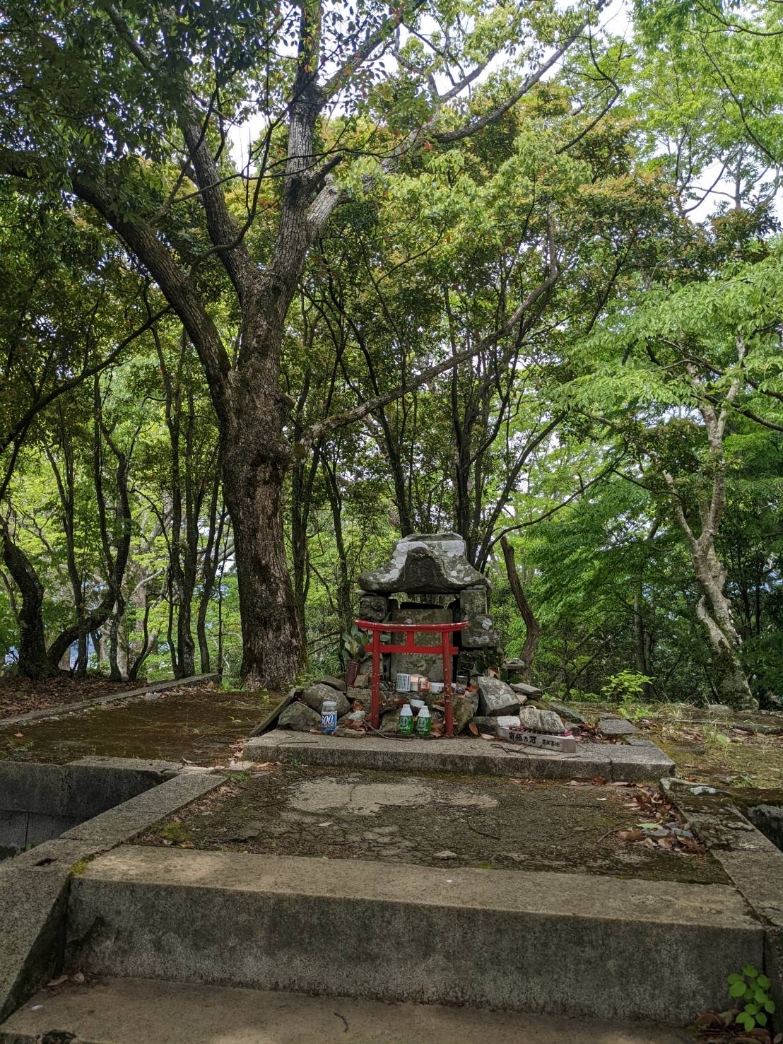 自分が住みたい土地で暮らしながら好きな仕事を続ける。リモートワークを通じて見出した新たなワーク・ライフ・バランス。