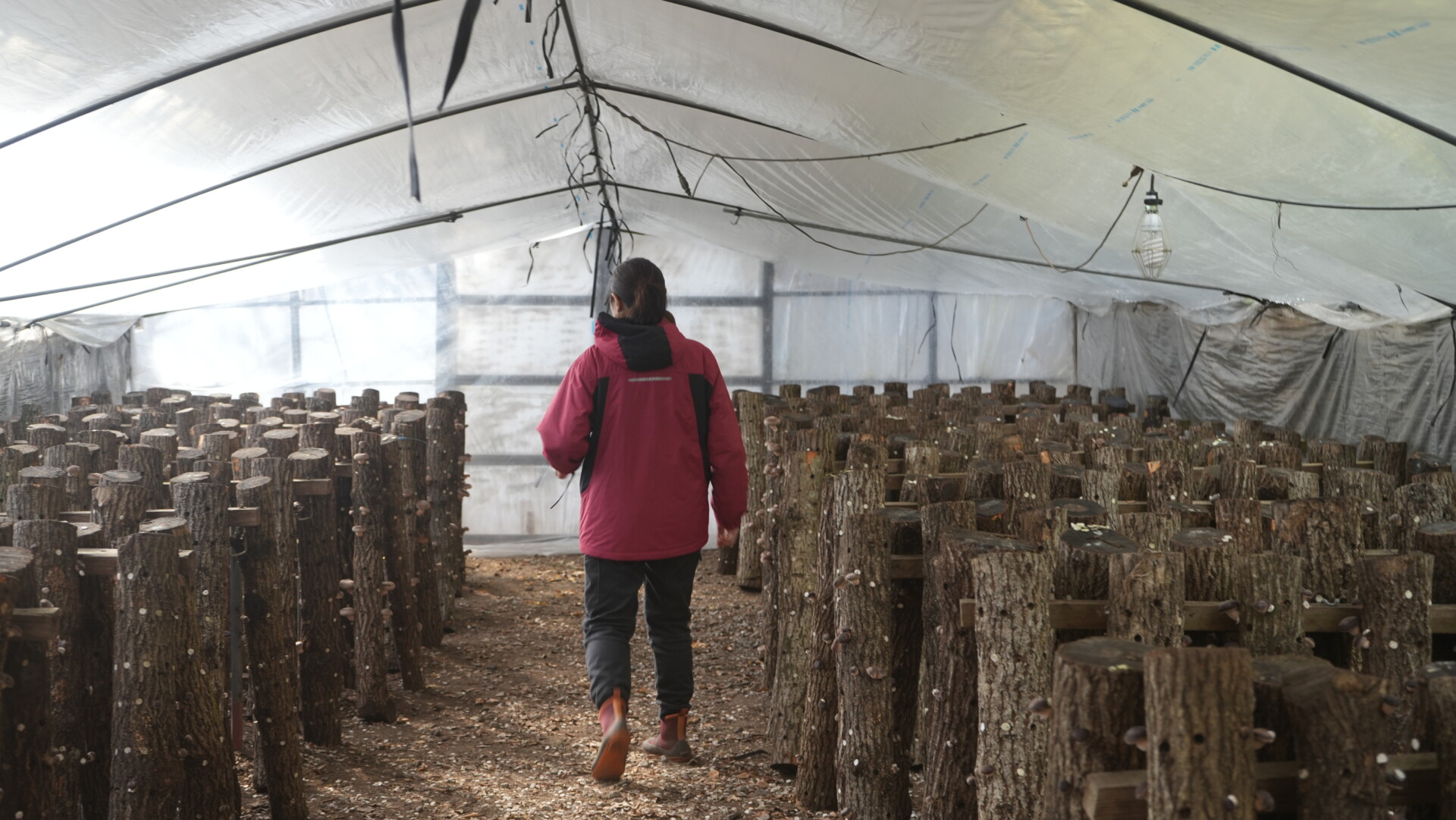 夫婦それぞれの想いが重なり、夢を実現できる地域へ移住。九重町で始めた新規就農と自給自足への挑戦。