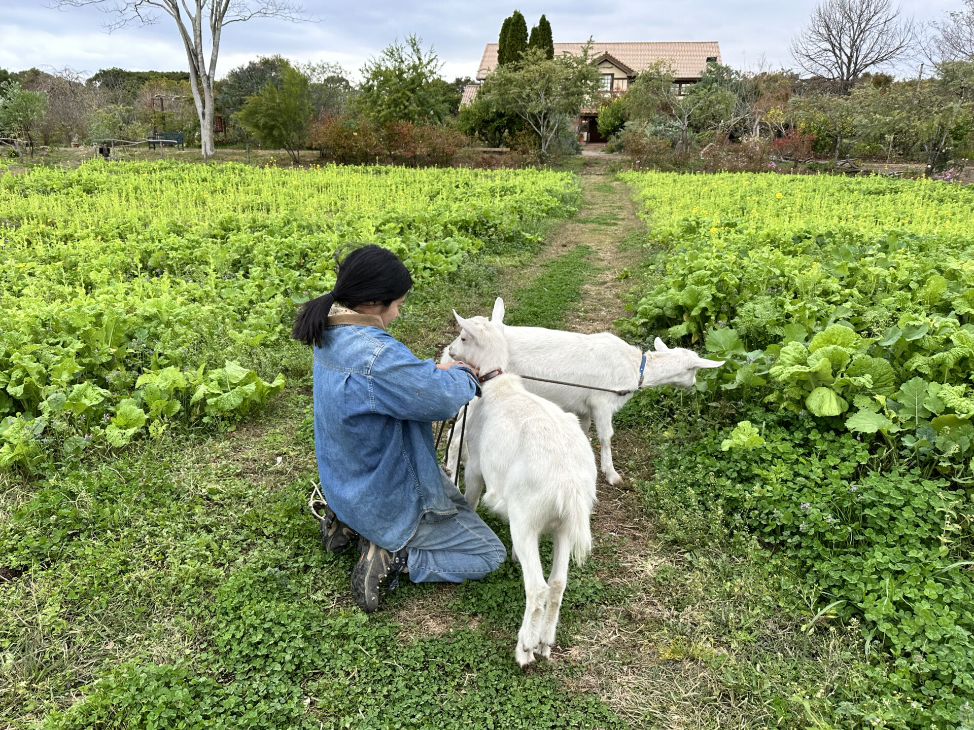 SNSをきっかけに、想い続けた仕事に転職するために日出町へ移住。都会と田舎のギャップを感じない暮らし。
