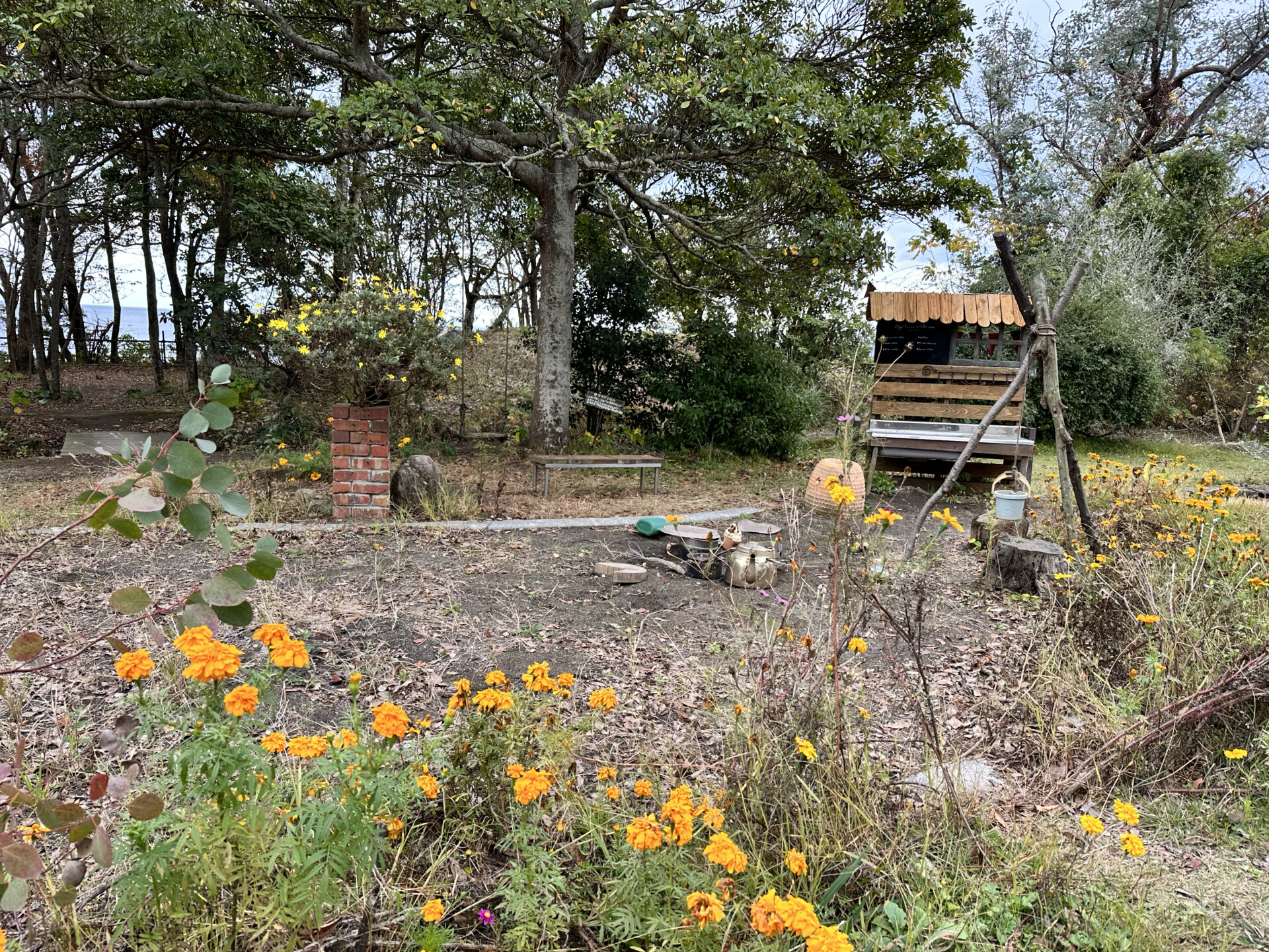 SNSをきっかけに、想い続けた仕事に転職するために日出町へ移住。都会と田舎のギャップを感じない暮らし。