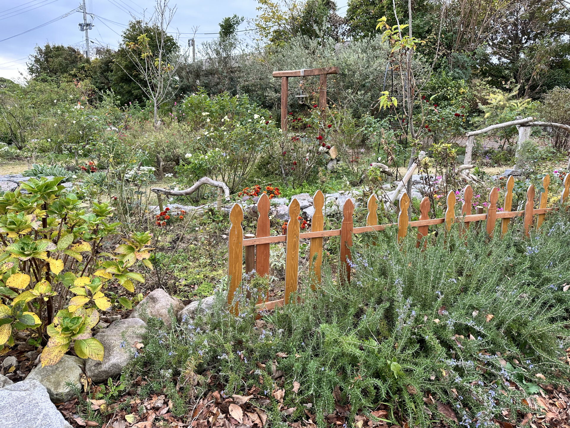 SNSをきっかけに、想い続けた仕事に転職するために日出町へ移住。都会と田舎のギャップを感じない暮らし。