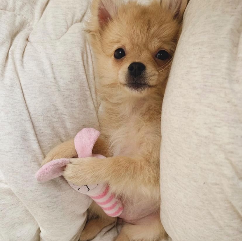 プライベートを充実させたいとの想いから大分市へUターン。都会よりもクオリティ・オブ・ライフが向上した地元暮らし。