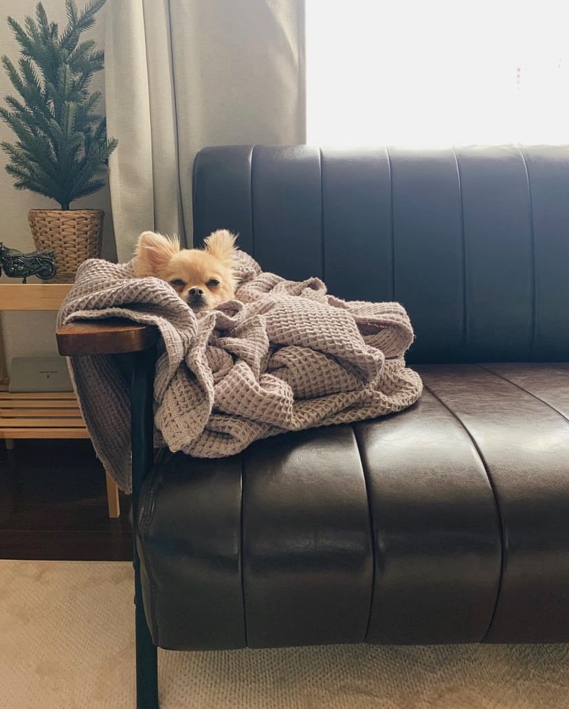 プライベートを充実させたいとの想いから大分市へUターン。都会よりもクオリティ・オブ・ライフが向上した地元暮らし。