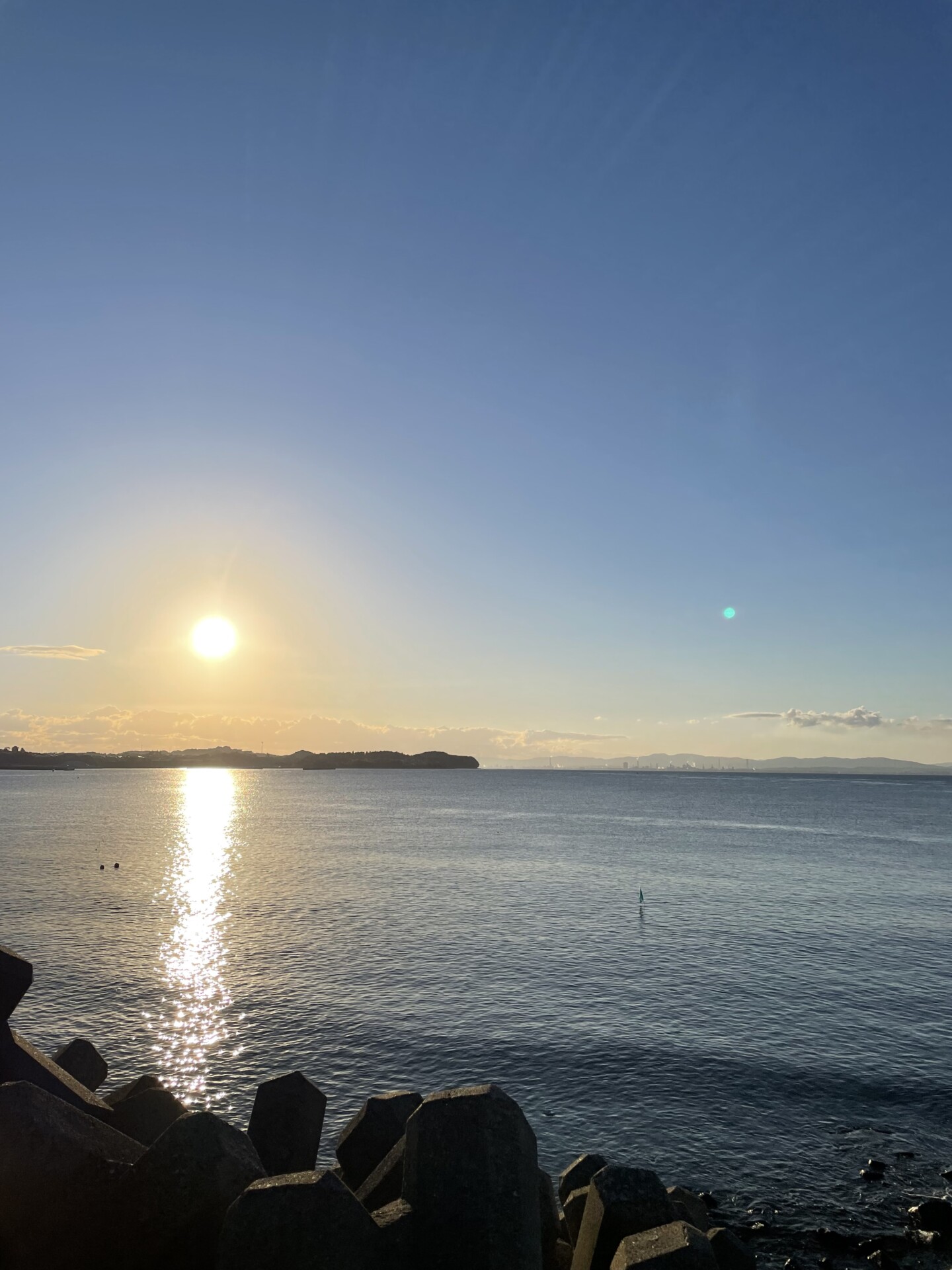 窮屈な都会暮らしから、田舎暮らしへ。日出町で実現した理想の日々。
