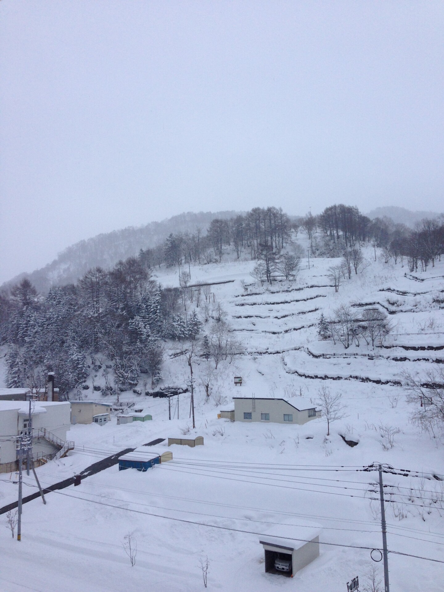 窮屈な都会暮らしから、田舎暮らしへ。日出町で実現した理想の日々。