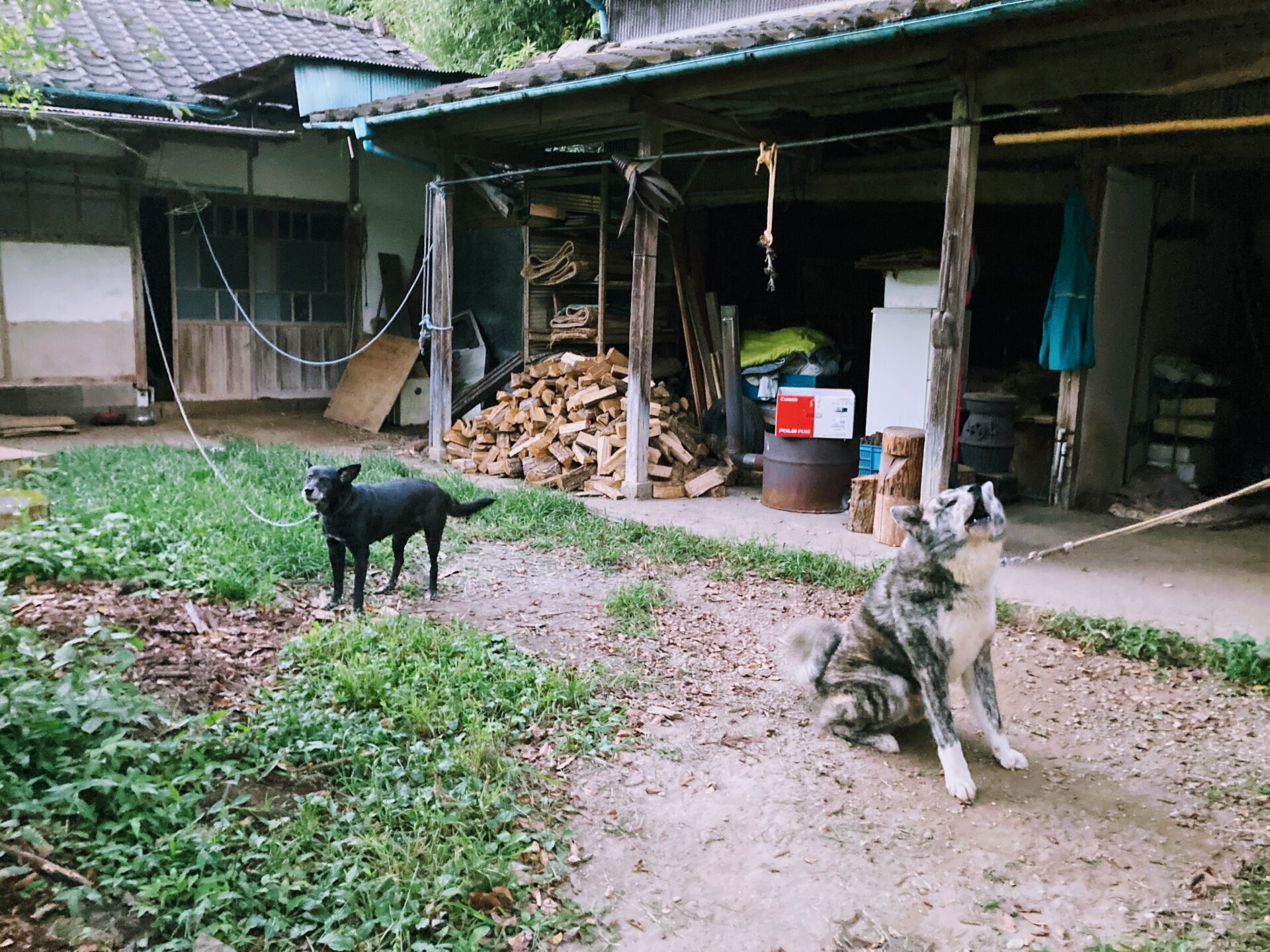 縁の繋がりでたどり着いた下郷地域。パートナーと住み直して村づくり。